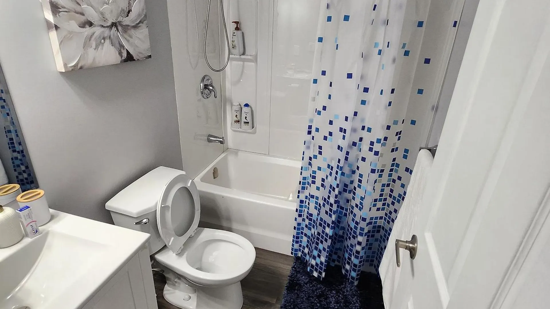 Entire Basement Suite With Private Entrance Winnipeg